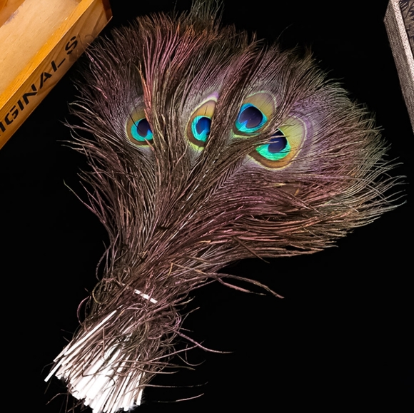25 Large EYE Peacock Feathers 10"-12" Set of 25 High Quality Feathers - Picture 2 of 5